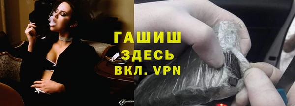 стаф Алзамай