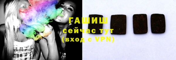 стаф Алзамай